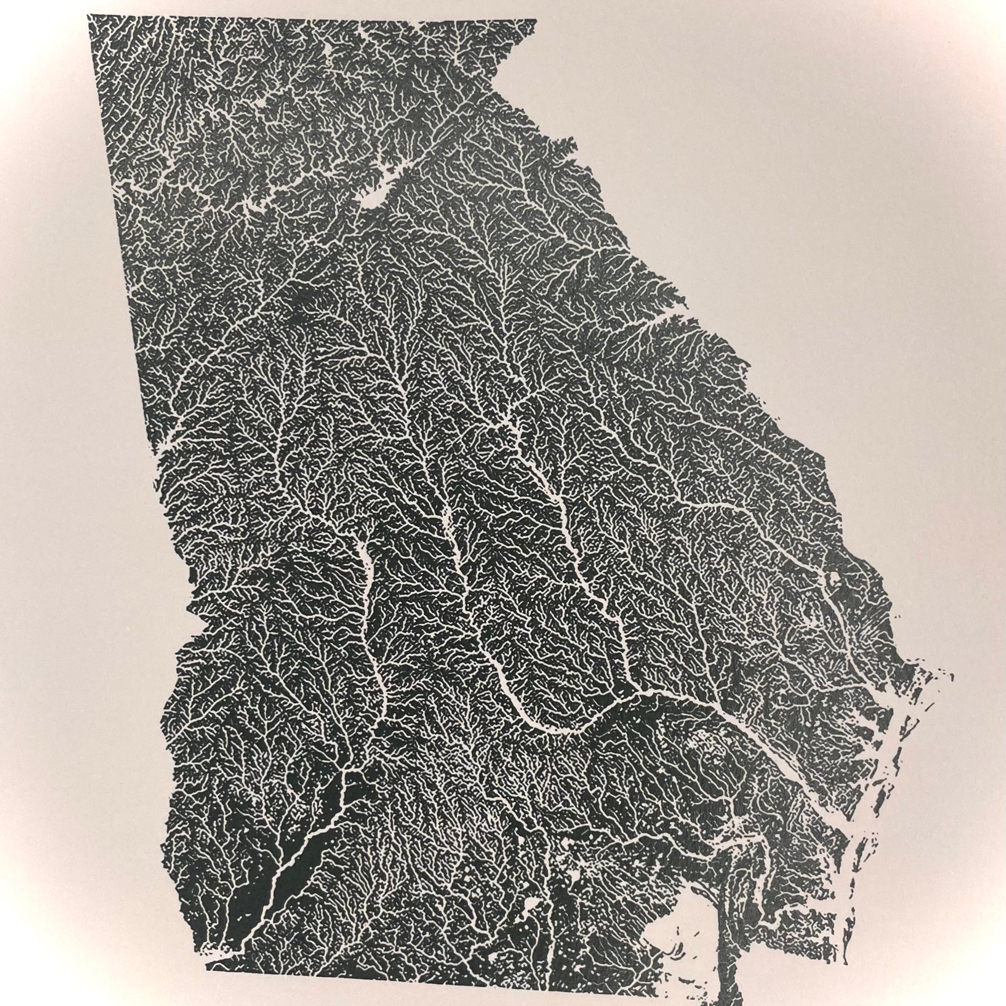Waterways of Georgia 8”x10” Georgia Map Giclée print rivers,streams,creeks, brooks LIMITED EDITION
