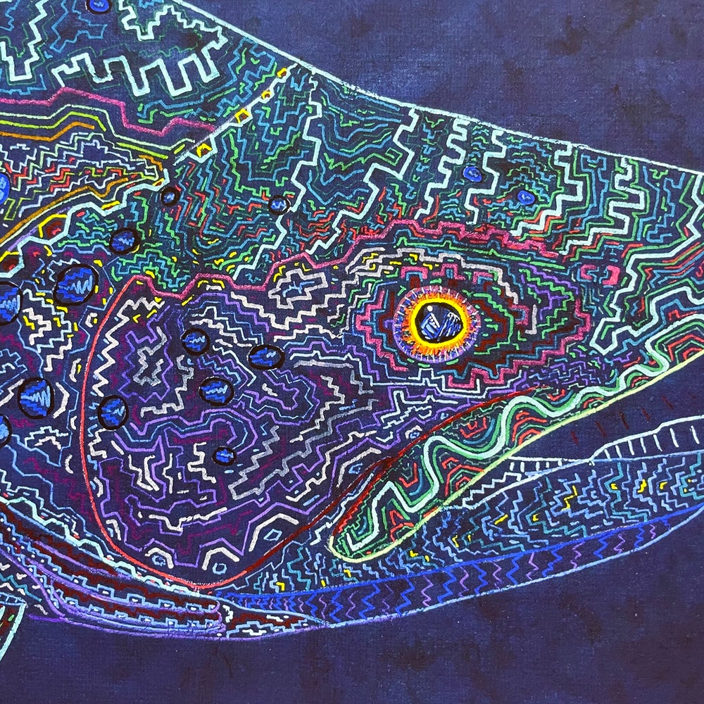 Tribal Trout Rio Figueroa Brown  fine art print By Zach Otte  LIMITED EDITION - thecosmicstream